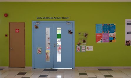 Portes bleues devant un mur vert avec panneaux informatifs