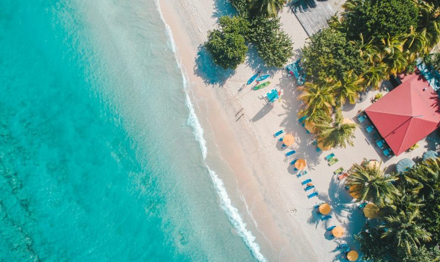 Visite en famille : comment intéresser les enfants à la découverte de la baie ?