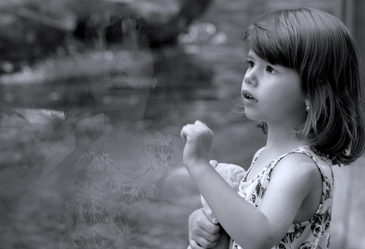 Une petite fille regarde un plan d'eau tout en tenant un doudou