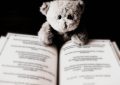 Un petit ours en peluche repose sur les pages d'un livre ouvert