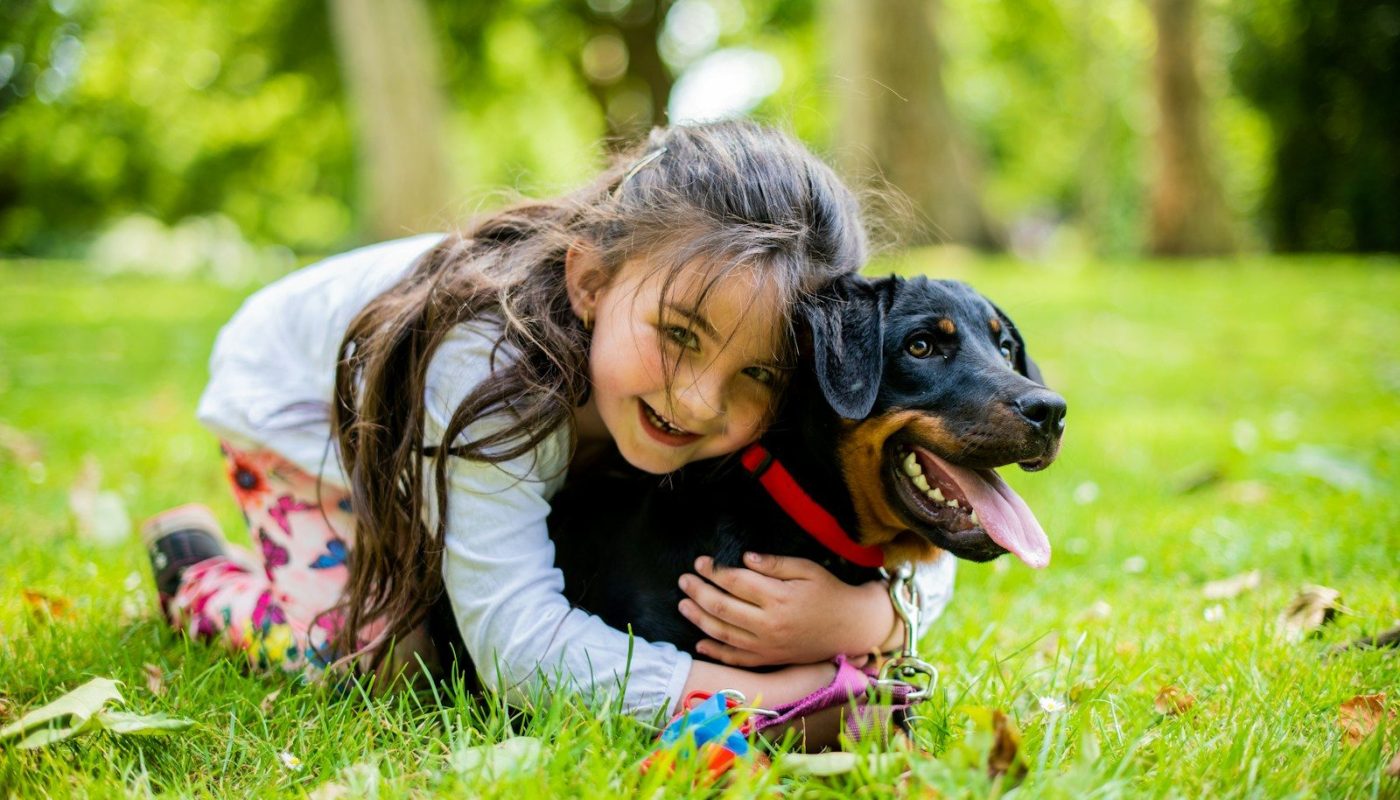 girl in pink jacket playing with black and brown short coated dog on green grass field