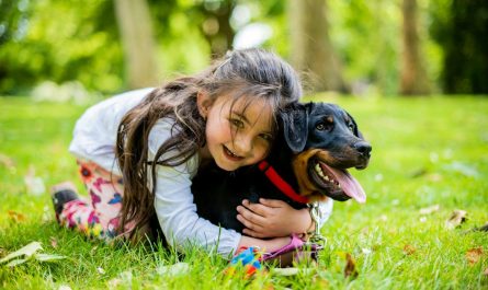 girl in pink jacket playing with black and brown short coated dog on green grass field